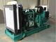 Генератор 240 KW дизельный резервный набор генератора гарантии 1 года открытый дизельный 300 KVA